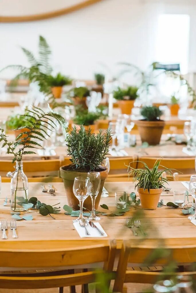 Sustainable and eco-friendly themed destination weddings.