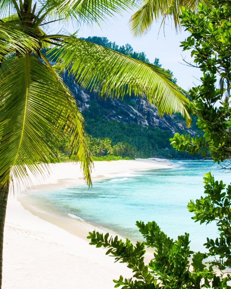 Everything You Need To Know About North Island, Seychelles Where Miss ...