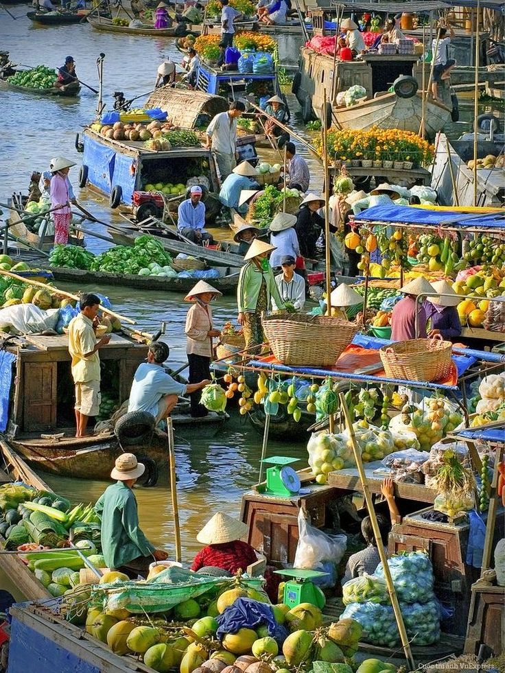 Top Honeymoon Destinations in Vietnam for 2024