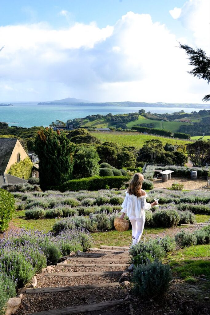 5 Dream Proposal Destinations in New Zealand