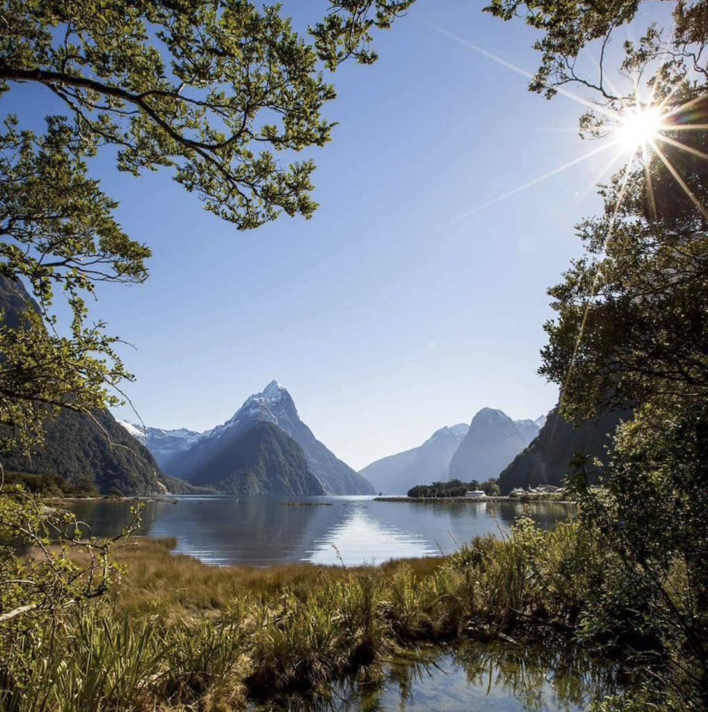 Discover New Zealand's Top 10 Dreamy Honeymoon Destinations