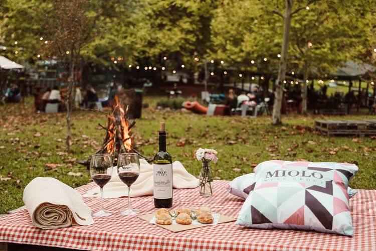 Best honeymoon destinations in Brazil - image of a picnic spot where there is wine, two glasses, foods and pillow 