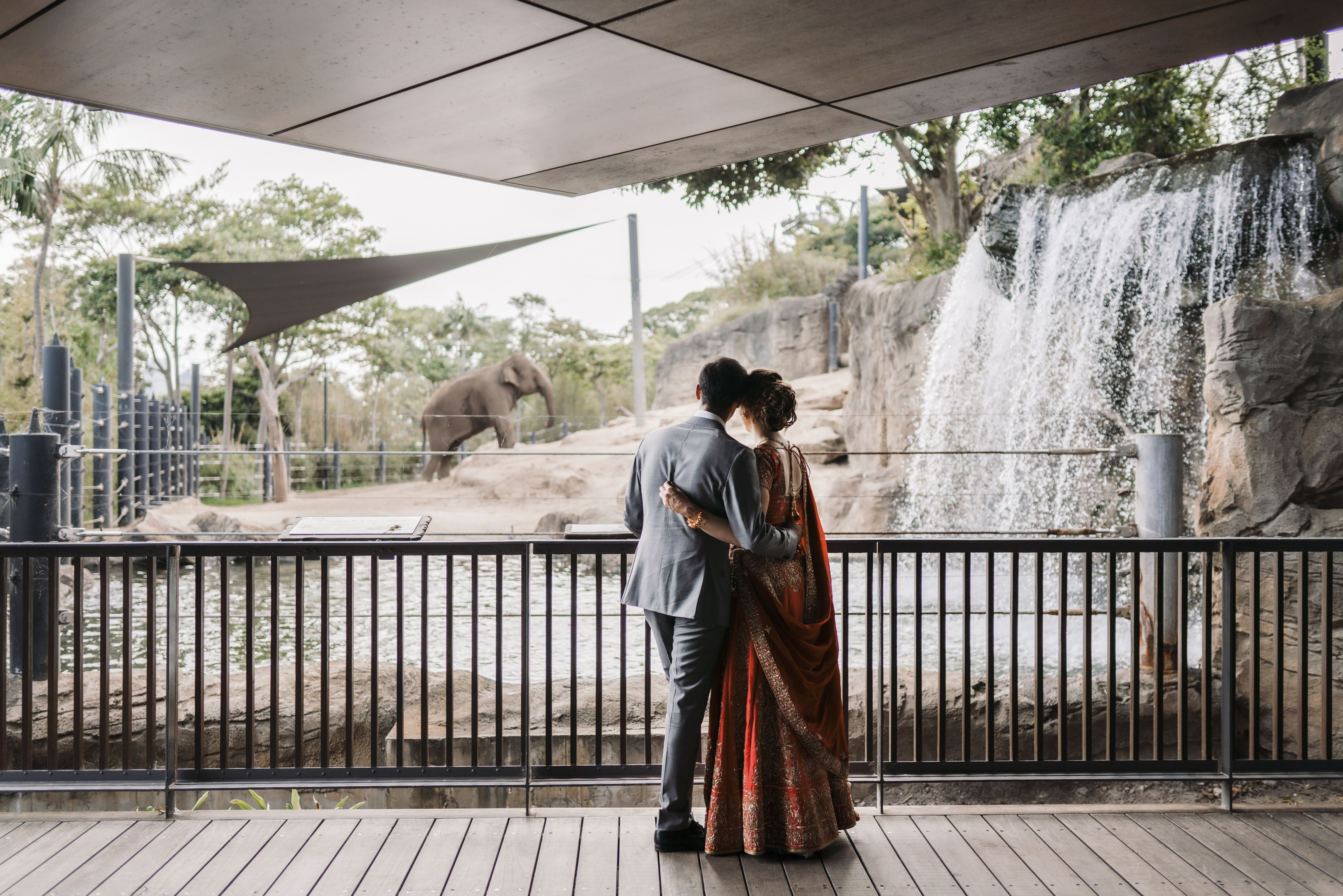 Taronga Zoo: Sydney Weddings with a Wild Twist