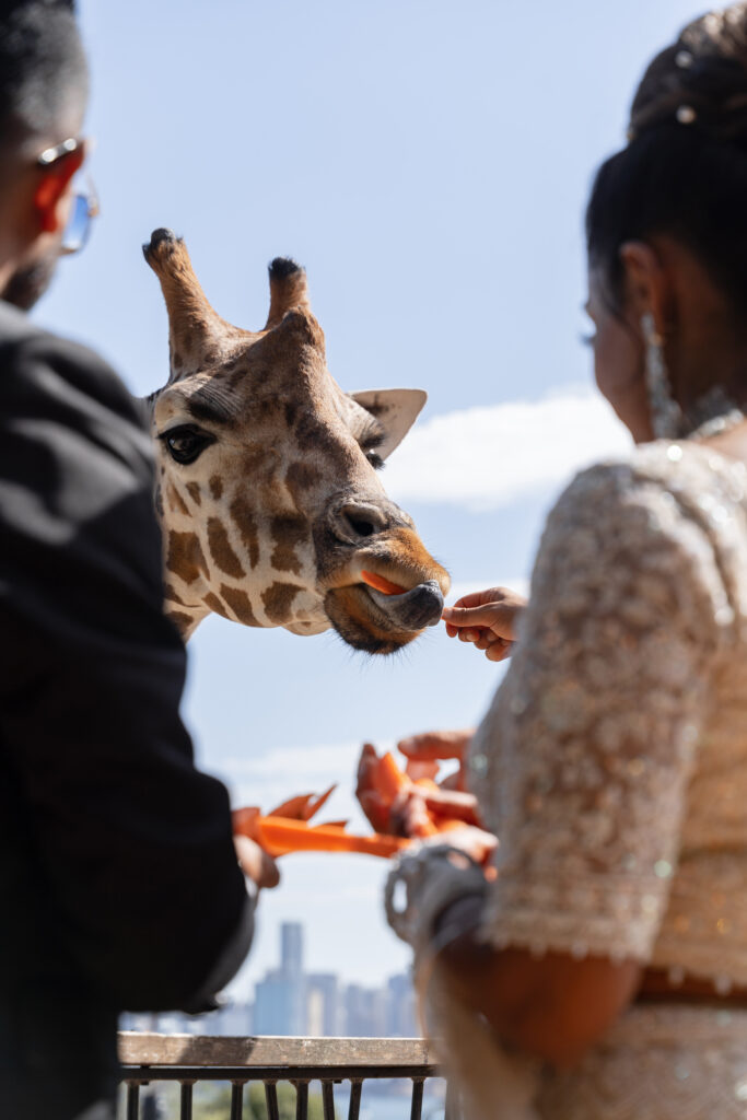 Taronga Zoo Distinctive Sydney Venue