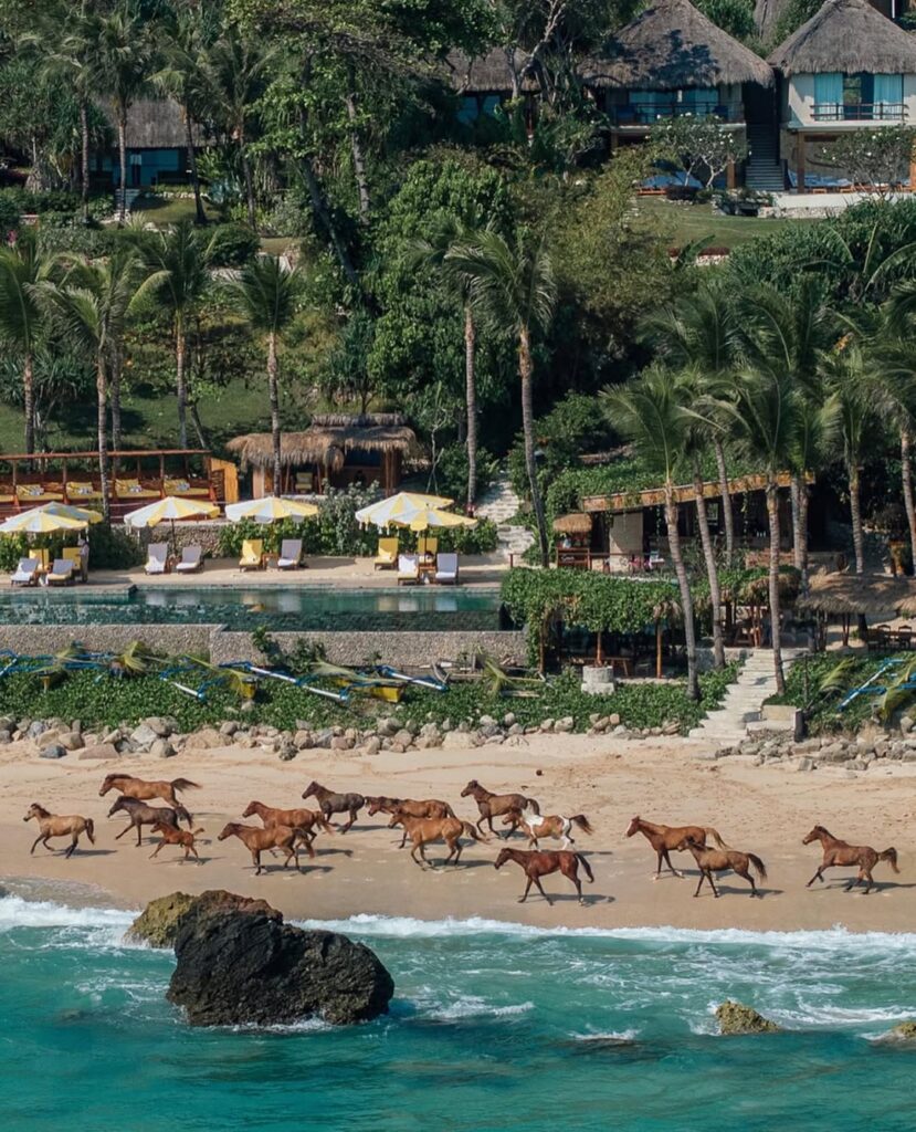 Honeymoons, Tropical, Honeymoon Destination, Tropical Escape, Travel, Honeymoon Escape, Couple Getaway, Beach getaway, Beach vacation, Newlyweds, Newlyweds holiday, newlyweds vacation, newlyweds honeymoon, Horseriding, Horses, Beach Horses